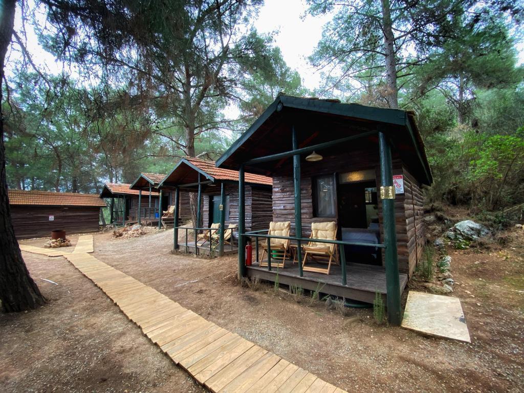 Doğa Manzaralı Oda Güney